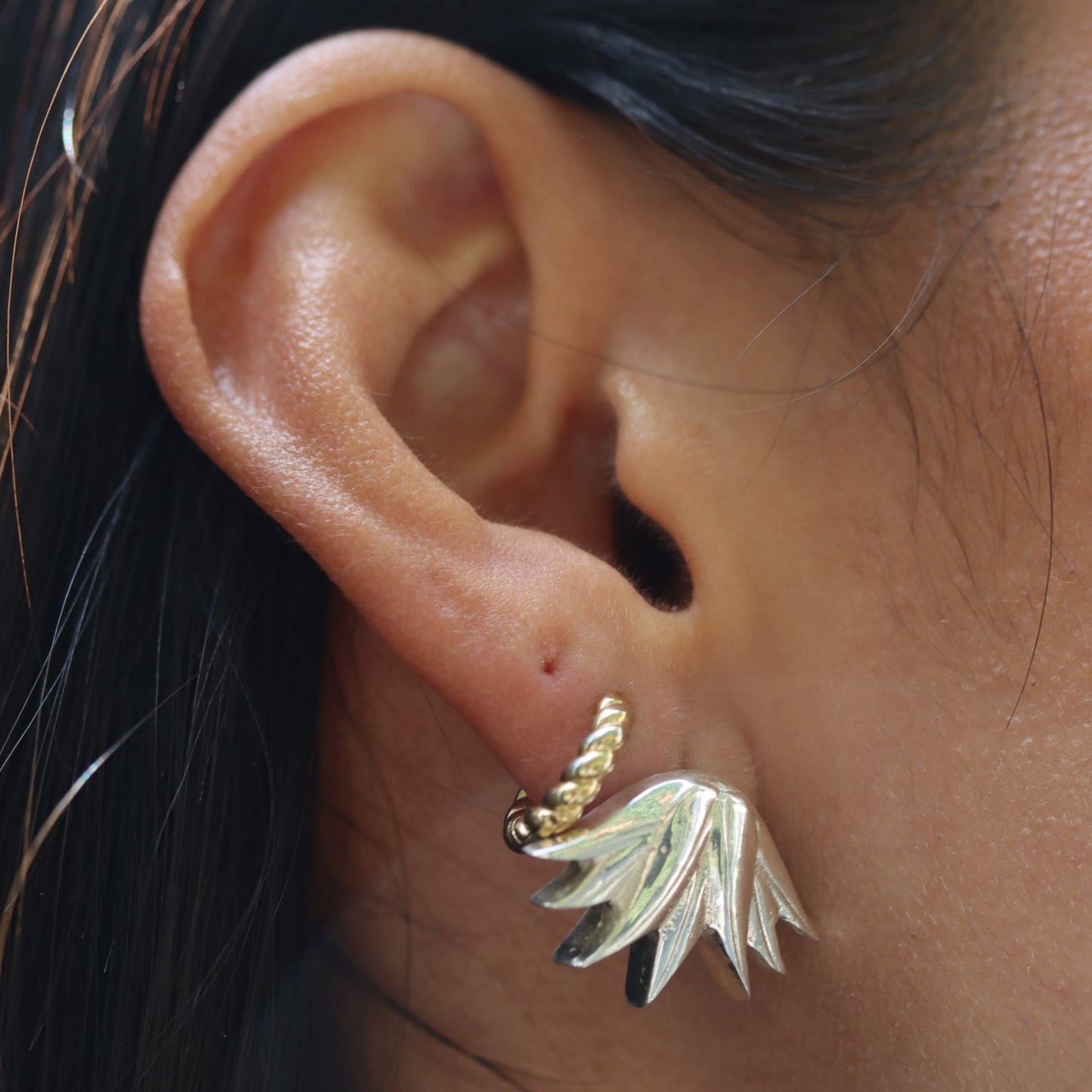 ARETES AGAVE
