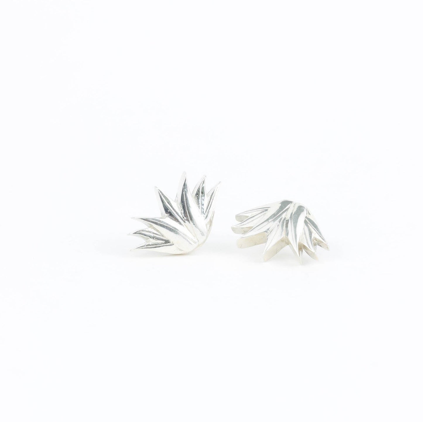ARETES AGAVE