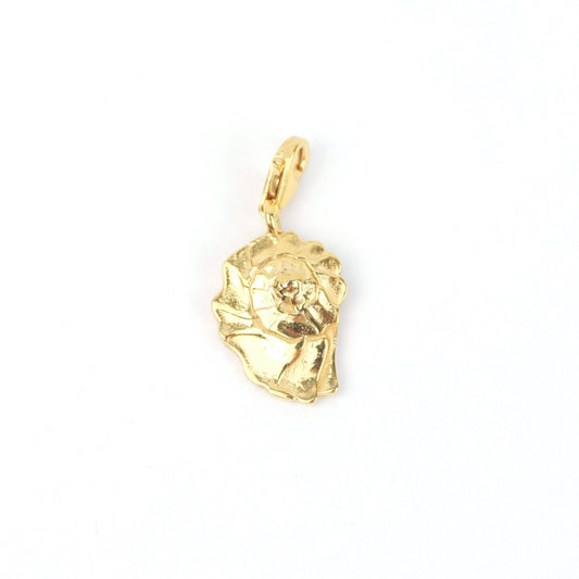 CHARM CARACOL PLATA CON BAÑO DE ORO
